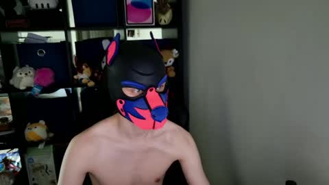 Snapshot of mellpup chatting on May 26, 2026, 3:41 pm MellPUP online show from May 26, 2026, 3:41 pm