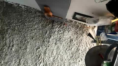 melodysnow online show from January 5, 2026, 5:49 pm