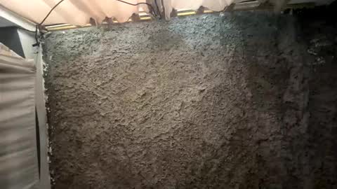 melodysnow online show from January 15, 2026, 6:11 pm