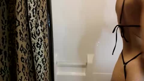 Snapshot of meltingmynx chatting on October 30, 2025, 11:33 am meltingmynx online show from October 30, 2025, 11:33 am