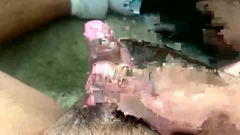 Snapshot of mendezjesus1215 chatting on March 26, 2026, 9:31 pm Toro loco online show from March 26, 2026, 9:31 pm