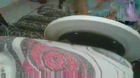 miagomezx online show from February 17, 2026, 4:42 am