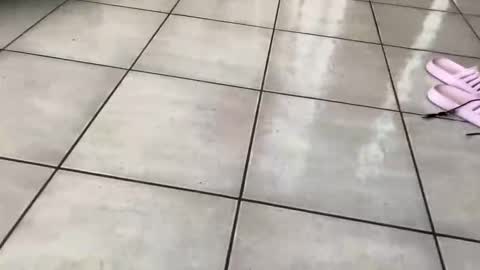 MiauzMiauz online show from April 30, 2026, 2:34 pm