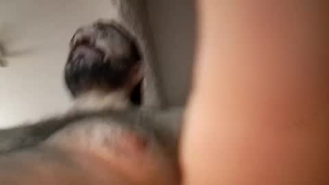 michael666c online show from February 27, 2025, 9:00 am