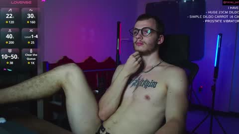 Snapshot of mickey_pict chatting on December 6, 2024, 11:33 am Mickey online show from December 6, 2024, 11:33 am