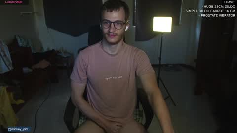 Snapshot of mickey_pict chatting on December 14, 2024, 1:50 am Mickey online show from December 14, 2024, 1:50 am