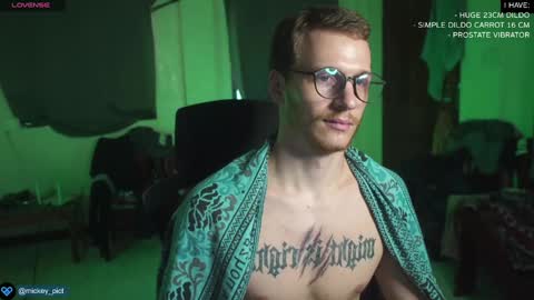 Snapshot of mickey_pict chatting on December 22, 2024, 8:05 am Mickey online show from December 22, 2024, 8:05 am