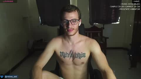 Snapshot of mickey_pict chatting on December 29, 2024, 6:03 am Mickey online show from December 29, 2024, 6:03 am