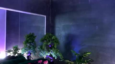 Alice online show from March 7, 2025, 11:07 am