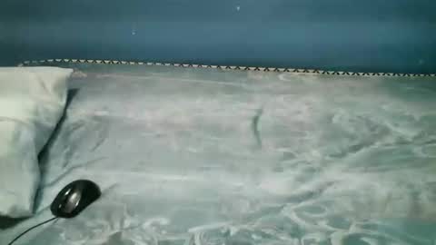 Caddy online show from November 1, 2025, 8:00 pm