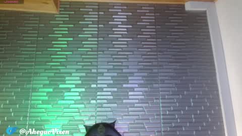 Snapshot of miia_zarate chatting on January 22, 2025, 9:10 pm Ma -  online show from January 22, 2025, 9:10 pm
