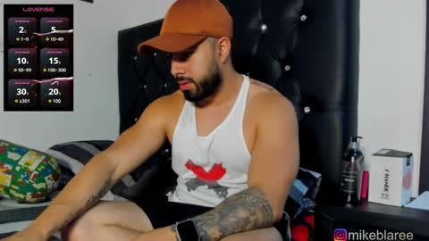 Snapshot of mikeblaree chatting on January 17, 2026, 5:05 pm mikeblaree online show from January 17, 2026, 5:05 pm