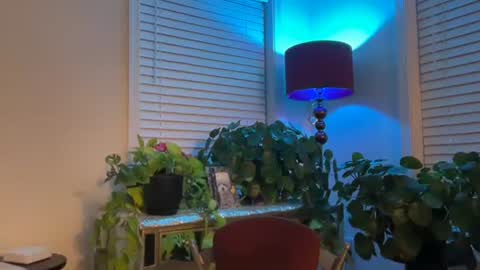 MIlf Goddess online show from December 17, 2025, 8:09 am