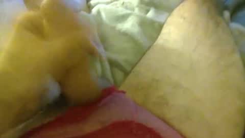 milkncookies8 online show from October 3, 2025, 5:59 am