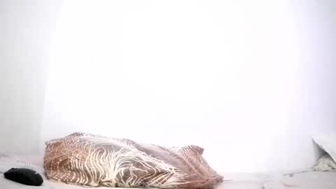 mina smith online show from March 24, 2026, 3:39 pm