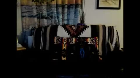 Snapshot of mindphuk chatting on January 4, 2025, 4:55 am mindphuk online show from January 4, 2025, 4:55 am