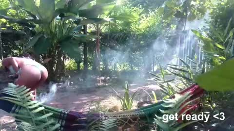   Mini Mila Kunis ft Ashton Katchero. Follow me to stay in touch  online show from April 18, 2026, 3:05 pm