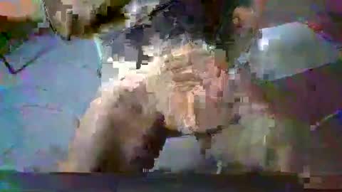 Snapshot of minoas31 chatting on December 13, 2024, 8:09 am minoas31 online show from December 13, 2024, 8:09 am