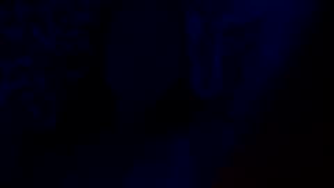 Nayyy online show from March 8, 2025, 8:55 am