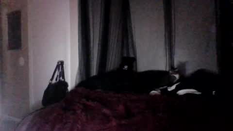 Snapshot of missgospelz_entertainmentz chatting on February 27, 2025, 2:21 am missgospel online show from February 27, 2025, 2:21 am