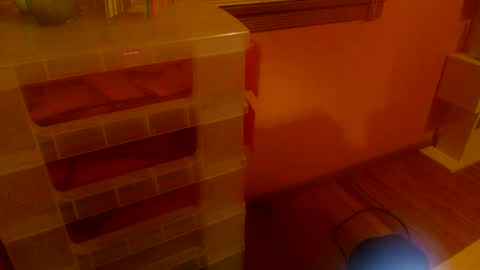 Snapshot of misskittyfox chatting on June 25, 2026, 4:56 am MissKittyFox online show from June 25, 2026, 4:56 am