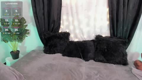 Snapshot of missmeegan_ chatting on December 6, 2024, 1:44 pm Alejandra  online show from December 6, 2024, 1:44 pm