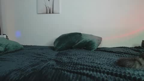 Yuka online show from February 12, 2025, 10:26 pm