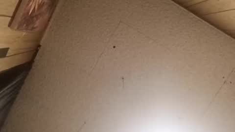 mjmichaelware online show from February 24, 2026, 6:55 am