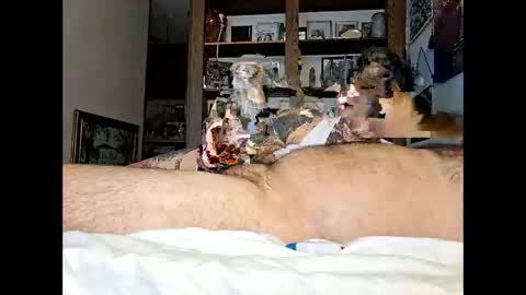 Kittykittybangbang online show from February 15, 2026, 7:43 pm