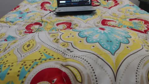 Molly And Brad online show from September 20, 2025, 9:27 pm