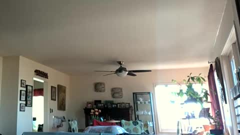 Monkee Dance online show from January 28, 2025, 5:35 pm