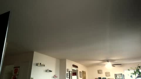 Monkee Dance online show from February 4, 2025, 5:12 pm