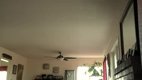 Monkee Dance online show from February 16, 2025, 5:37 pm