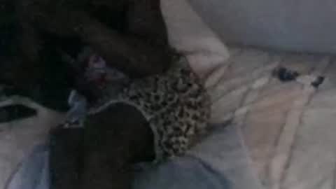 montydxxx2 online show from February 13, 2026, 11:28 am