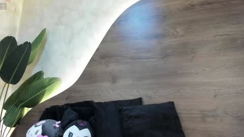  Morgan  online show from January 28, 2025, 11:49 am