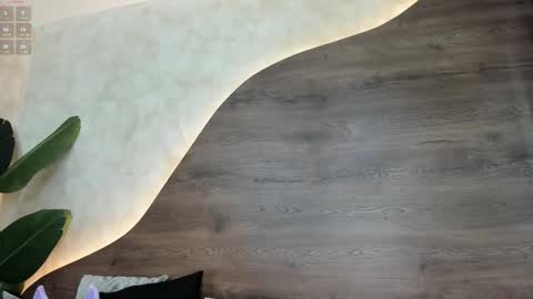  Morgan  online show from February 7, 2025, 2:37 pm