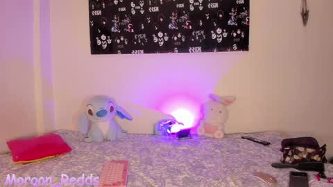 Morgan-Redds online show from December 4, 2024, 2:20 am