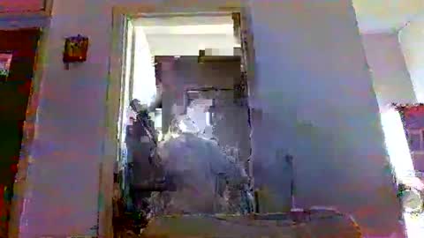 mppempis81 online show from November 23, 2025, 7:08 am