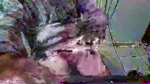 mppempis81 online show from January 31, 2026, 7:11 pm