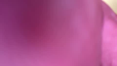 Snapshot of mr6ray chatting on January 8, 2025, 3:40 am mr6ray online show from January 8, 2025, 3:40 am