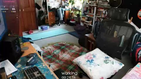 ninko online show from February 13, 2025, 8:34 pm