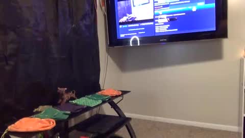 Snapshot of mr_j_showoff chatting on January 3, 2025, 9:58 am whateveryouwant online show from January 3, 2025, 9:58 am