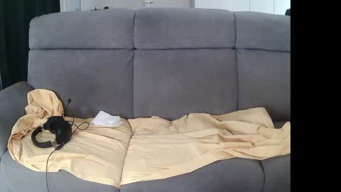 Snapshot of mreurope69 chatting on December 5, 2024, 11:07 pm I am Hardy online show from December 5, 2024, 11:07 pm