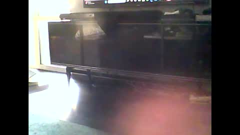 Snapshot of mrhandsomelovee chatting on January 10, 2025, 12:15 pm Nikola online show from January 10, 2025, 12:15 pm