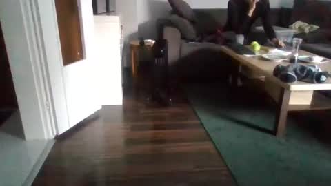 Snapshot of mrhandsomelovee chatting on February 17, 2025, 11:02 am Nikola online show from February 17, 2025, 11:02 am