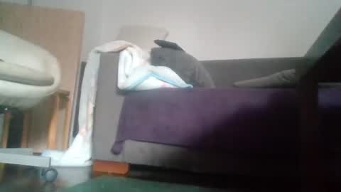 Snapshot of mrhandsomelovee chatting on October 18, 2025, 9:54 am Nikola online show from October 18, 2025, 9:54 am