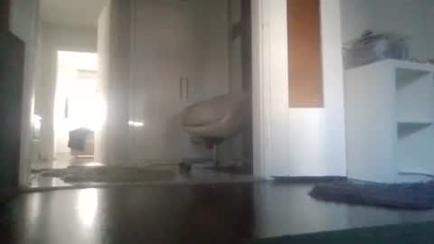 Nikola online show from March 11, 2026, 8:20 am