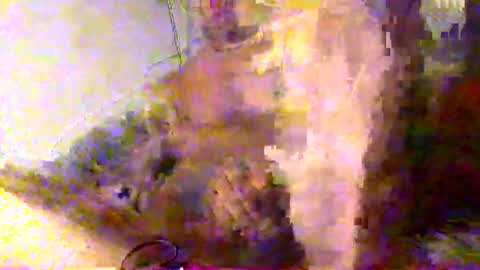 mrkoterz online show from April 18, 2026, 10:19 am