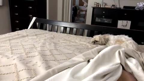 Snapshot of mrrogue chatting on November 1, 2025, 5:20 am mrrogue online show from November 1, 2025, 5:20 am