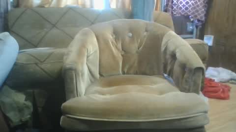 mrstergreen9 online show from October 5, 2025, 8:29 pm